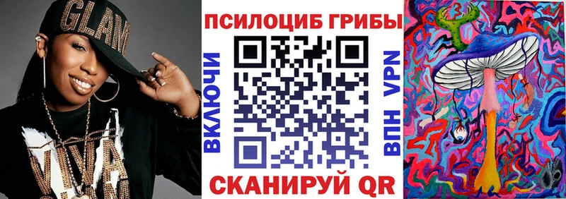 Псилоцибиновые грибы Psilocybine cubensis Архангельск