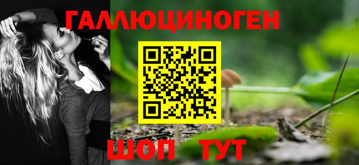 Архангельск  Псилоцибиновые грибы GOLDEN TEACHER  Вход с VPN 